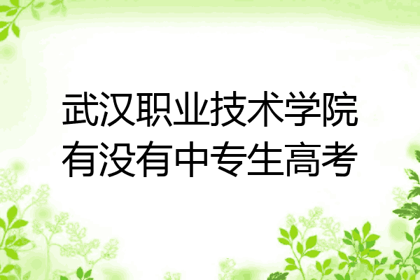 武汉职业技术学院有没有中专生高考