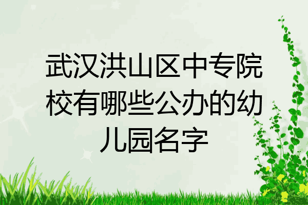 武汉洪山区中专院校有哪些公办的幼儿园名字