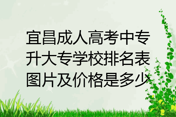 宜昌成人高考中专升大专学校排名表图片及价格是多少