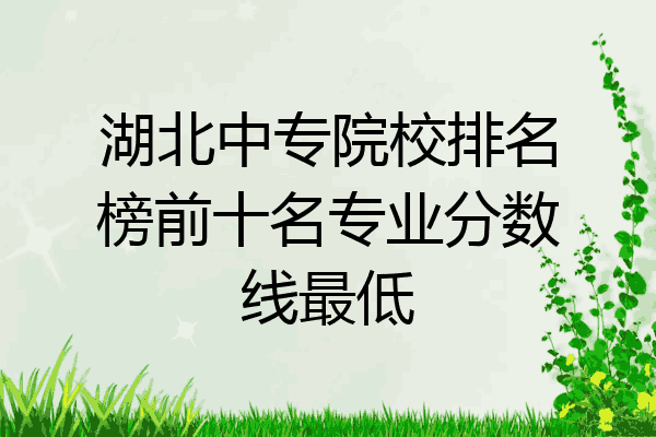 湖北中专院校排名榜前十名专业分数线最低