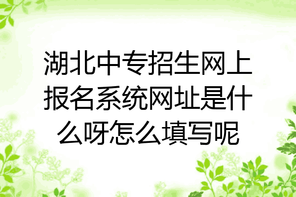 湖北中专招生网上报名系统网址是什么呀怎么填写呢