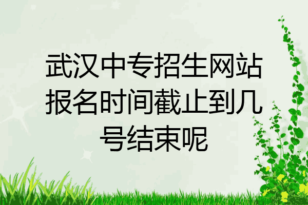 武汉中专招生网站报名时间截止到几号结束呢