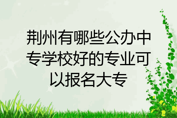 荆州有哪些公办中专学校好的专业可以报名大专