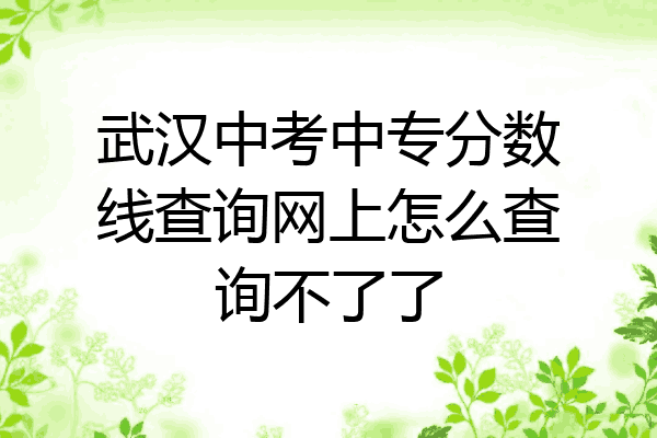武汉中考中专分数线查询网上怎么查询不了了
