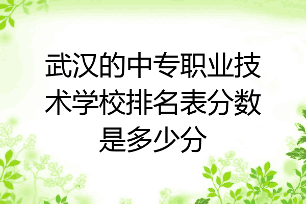武汉的中专职业技术学校排名表分数是多少分