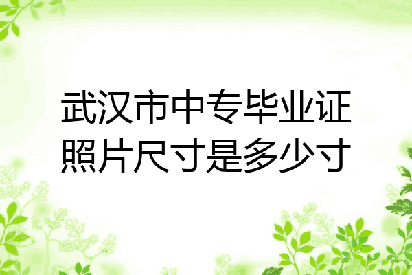 武汉市中专毕业证照片尺寸是多少寸
