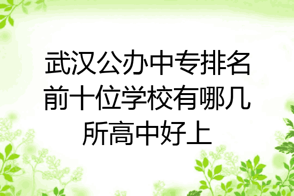 武汉公办中专排名前十位学校有哪几所高中好上