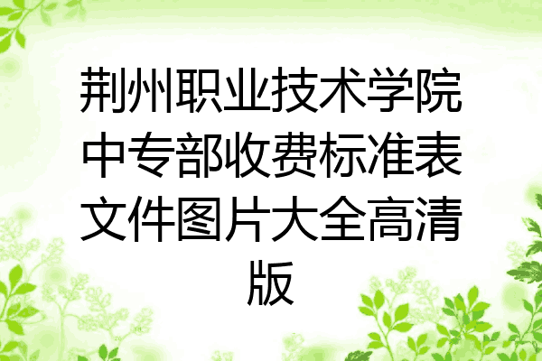 荆州职业技术学院中专部收费标准表文件图片大全高清版