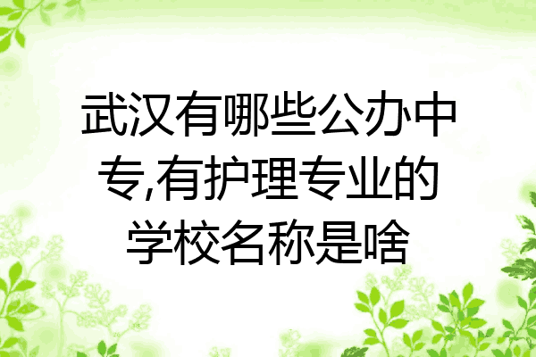 武汉有哪些公办中专,有护理专业的学校名称是啥