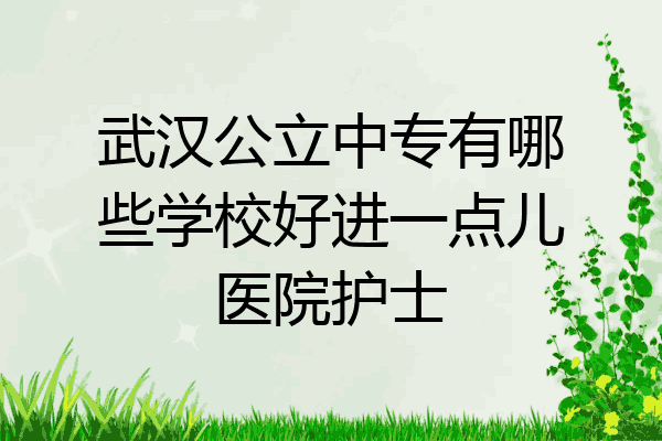 武汉公立中专有哪些学校好进一点儿医院护士