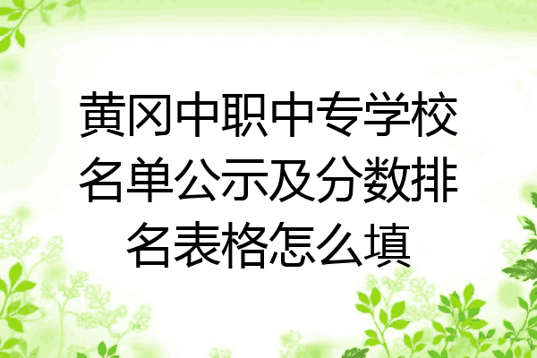 黄冈中职中专学校名单公示及分数排名表格怎么填