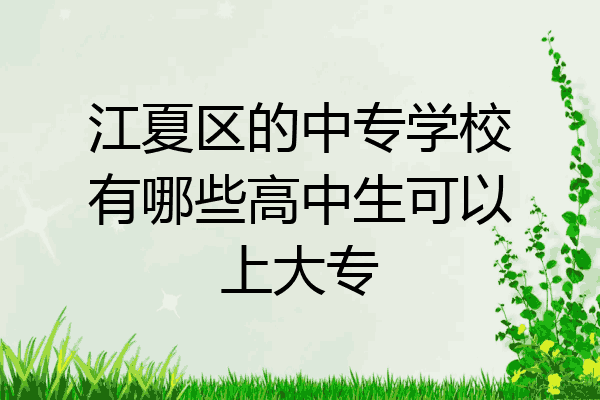 江夏区的中专学校有哪些高中生可以上大专