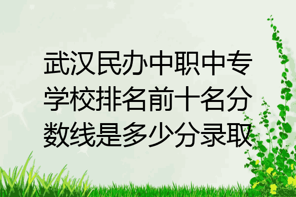 武汉民办中职中专学校排名前十名分数线是多少分录取