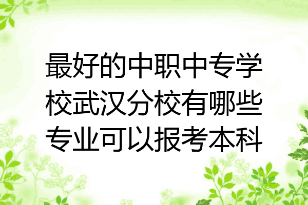 最好的中职中专学校武汉分校有哪些专业可以报考本科