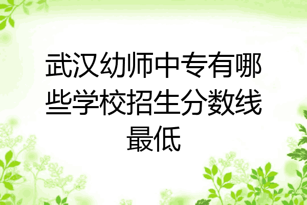 武汉幼师中专有哪些学校招生分数线最低