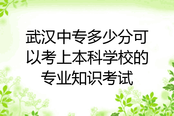武汉中专多少分可以考上本科学校的专业知识考试