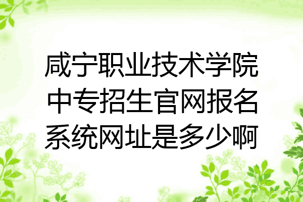 咸宁职业技术学院中专招生官网报名系统网址是多少啊