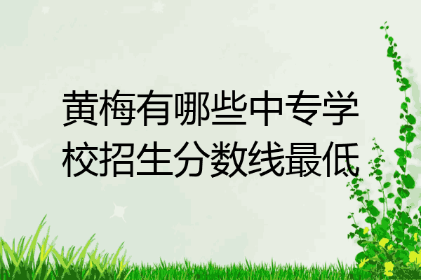 黄梅有哪些中专学校招生分数线最低