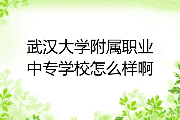 武汉大学附属职业中专学校怎么样啊