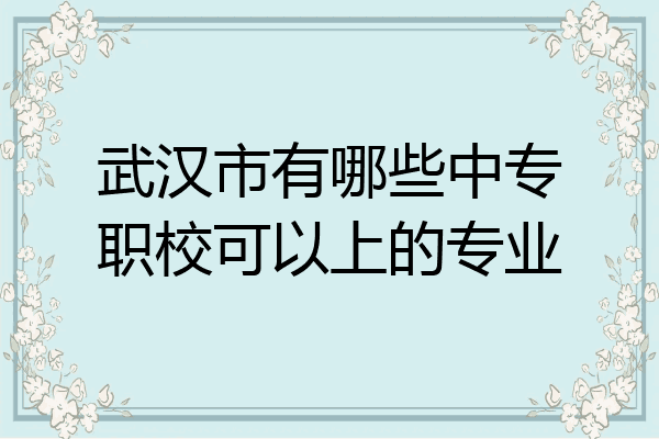 武汉市有哪些中专职校可以上的专业