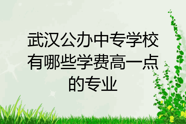 武汉公办中专学校有哪些学费高一点的专业