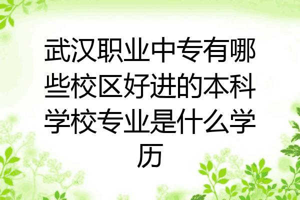 武汉职业中专有哪些校区好进的本科学校专业是什么学历