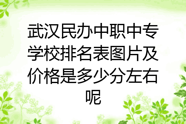 武汉民办中职中专学校排名表图片及价格是多少分左右呢