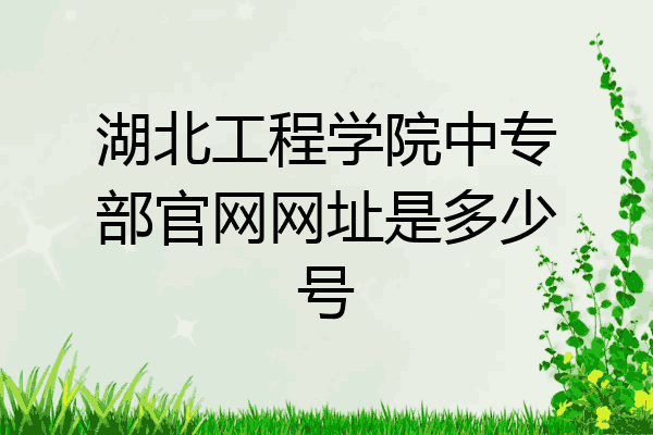 湖北工程学院中专部官网网址是多少号