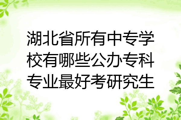湖北省所有中专学校有哪些公办专科专业最好考研究生