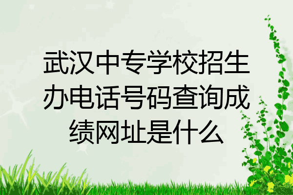 武汉中专学校招生办电话号码查询成绩网址是什么