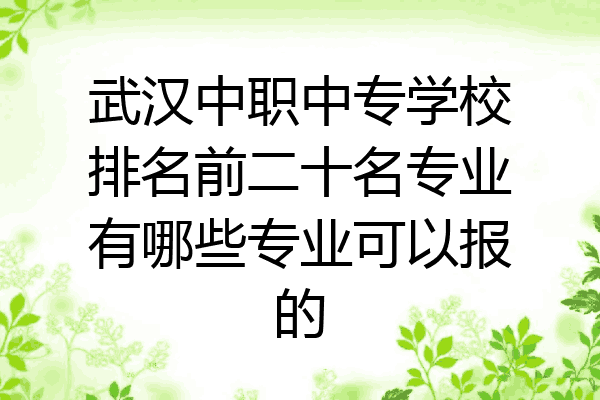 武汉中职中专学校排名前二十名专业有哪些专业可以报的