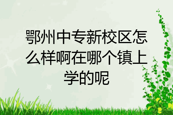 鄂州中专新校区怎么样啊在哪个镇上学的呢