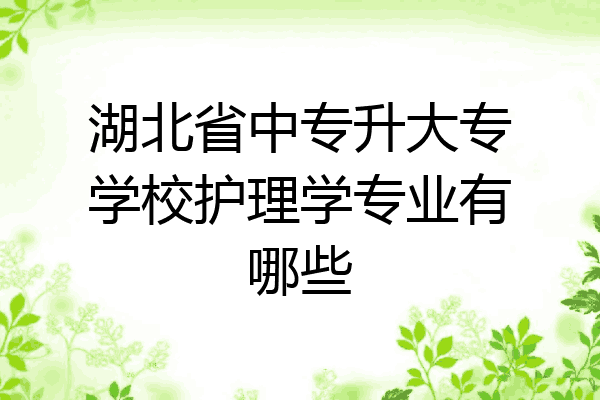 湖北省中专升大专学校护理学专业有哪些