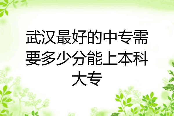 武汉最好的中专需要多少分能上本科大专
