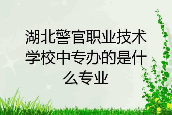 湖北警官职业技术学校中专办的是什么专业
