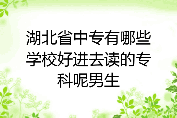 湖北省中专有哪些学校好进去读的专科呢男生