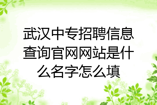 武汉中专招聘信息查询官网网站是什么名字怎么填