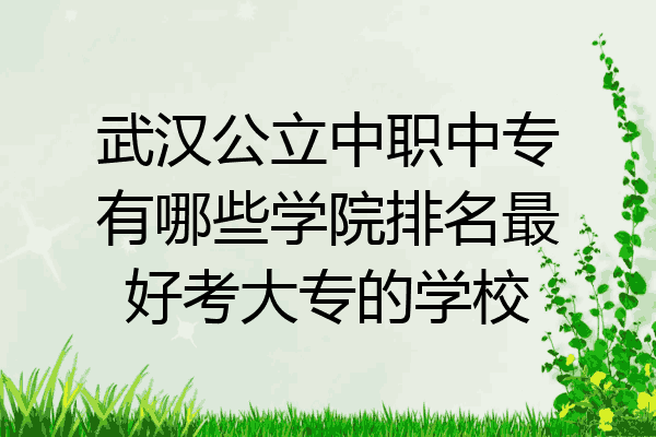 武汉公立中职中专有哪些学院排名最好考大专的学校