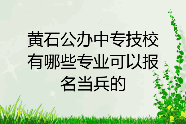 黄石公办中专技校有哪些专业可以报名当兵的