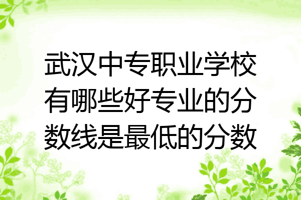 武汉中专职业学校有哪些好专业的分数线是最低的分数