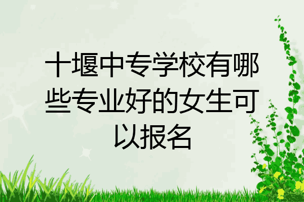 十堰中专学校有哪些专业好的女生可以报名