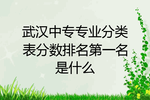武汉中专专业分类表分数排名第一名是什么