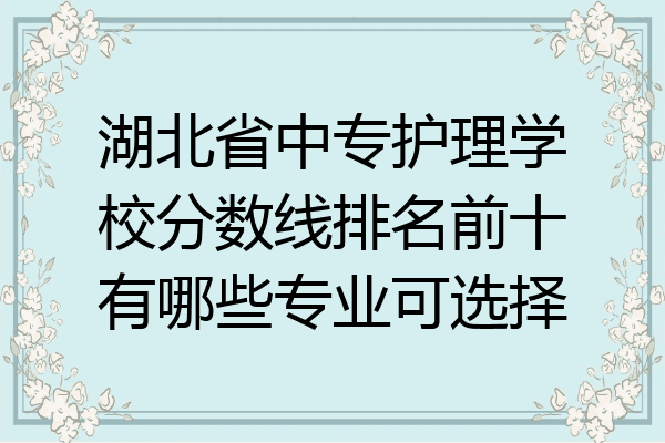 湖北省中专护理学校分数线排名前十有哪些专业可选择