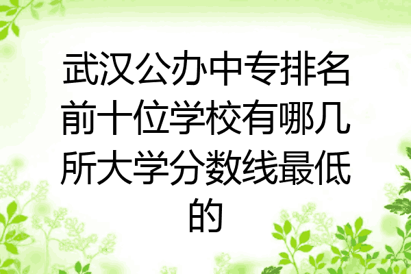 武汉公办中专排名前十位学校有哪几所大学分数线最低的