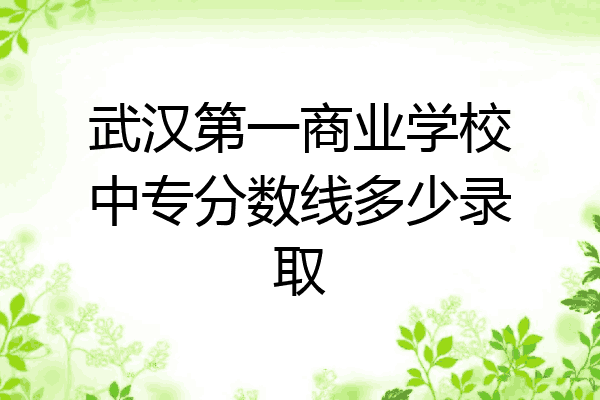 武汉第一商业学校中专分数线多少录取