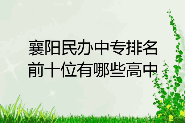 襄阳民办中专排名前十位有哪些高中