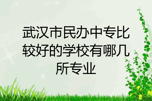 武汉市民办中专比较好的学校有哪几所专业