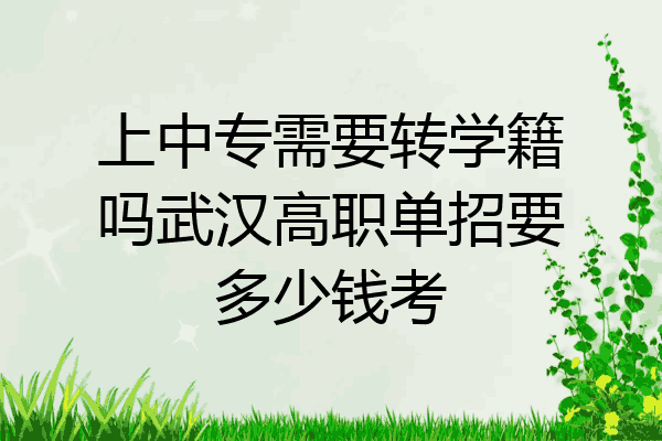 上中专需要转学籍吗武汉高职单招要多少钱考