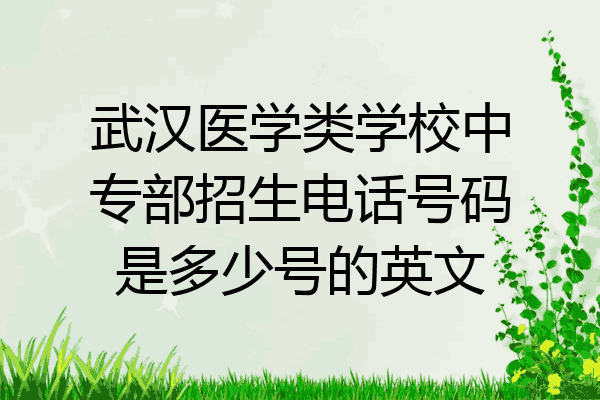 武汉医学类学校中专部招生电话号码是多少号的英文
