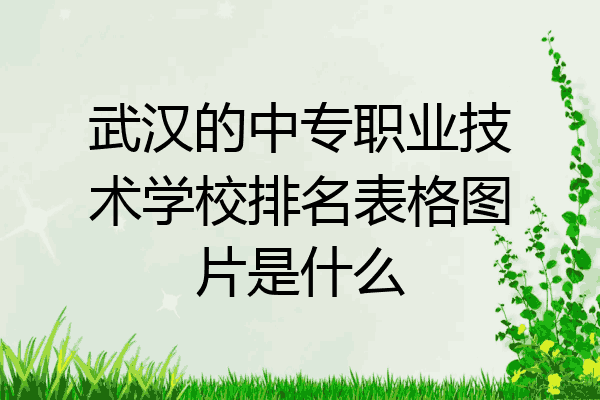 武汉的中专职业技术学校排名表格图片是什么